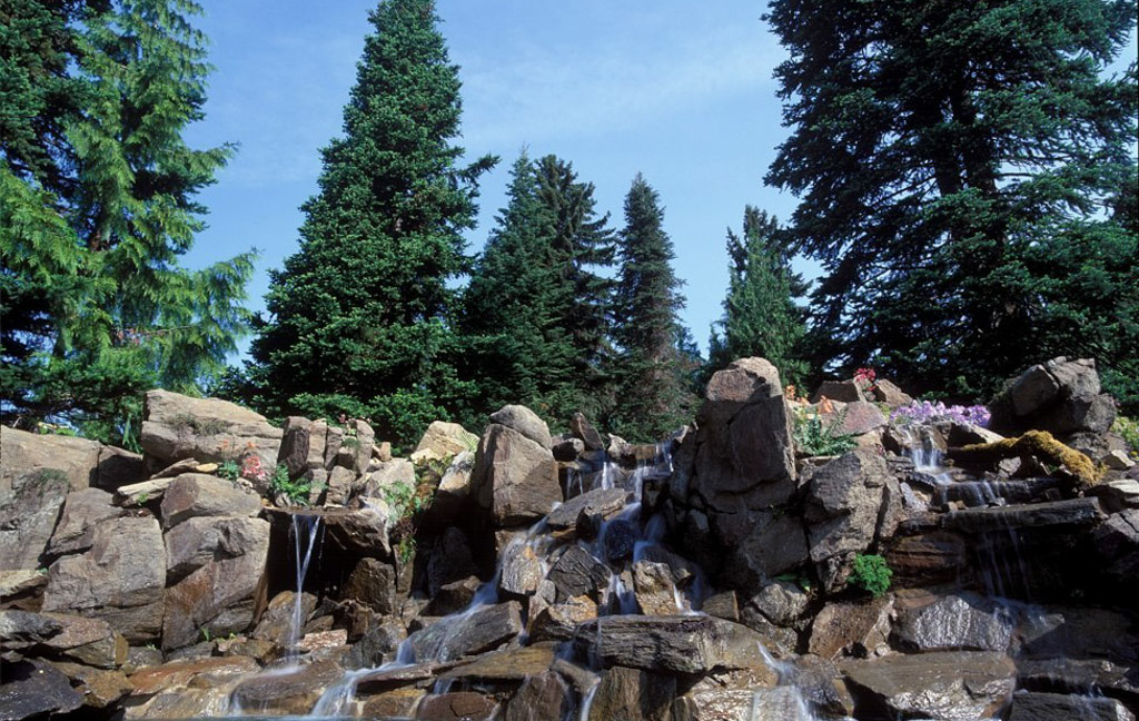 Rocky waterfall surrounded by lush pine trees.