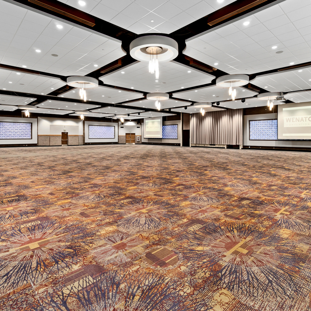 Spacious conference ballroom with patterned carpet and screens.