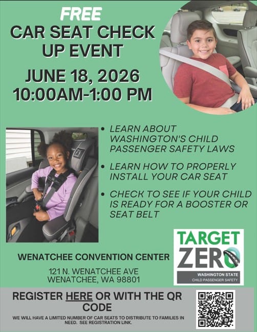Free car seat safety check event flyer